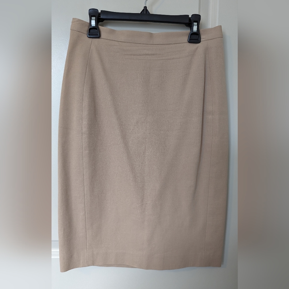 Ann Taylor Pencil Skirt